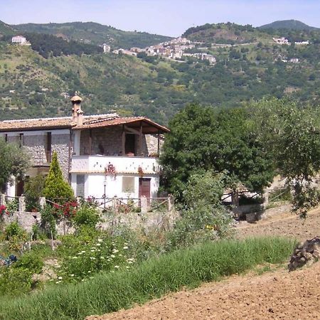 Agriturismo Acampora Villa Cerchiara di Calabria Eksteriør bilde